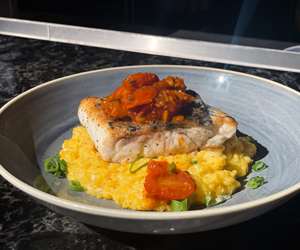 Barramundi